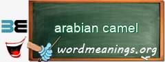 WordMeaning blackboard for arabian camel